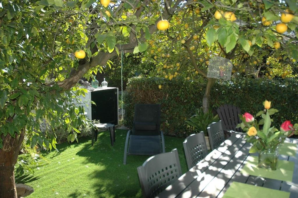 Calm House Vakantiehuis *
